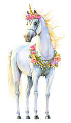 Plakat Watercolor white unicorn with flowers. Beautiful fantasy unicorn in full growth isolated on white background.