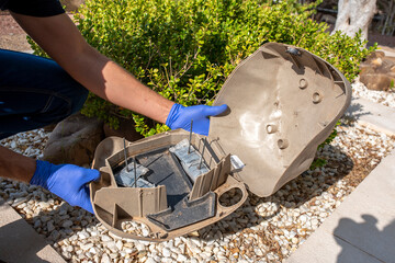 Professional preparing trap for rats, mice, for pest control in a special black box to place the...