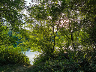 morning at the river