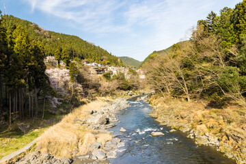 Fototapeta na wymiar (東京都ｰ風景)御岳渓谷の風景３