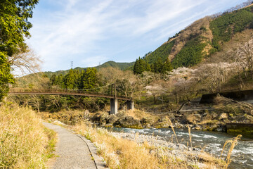 (東京都ｰ風景)御岳渓谷の風景６