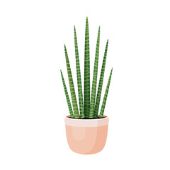 Indoor plant sansevieria cylindrical in a pot for interior decor at home, office, indoor use. Vector illustration isolated on white background. Trendy home decor with plants, urban jungle.