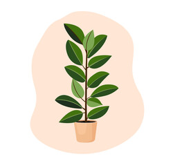 Indoor tree plant ficus rubber in a pot for home, office, premises decor. Illustration isolated on white background. Trendy home decor with plants, urban jungle
