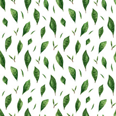 Watercolor pattern with leaves