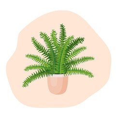 Indoor plant fern, nephrolepis in a pot for home, office, premises decor. Illustration isolated on white background. Trendy home decor with plants, urban jungle