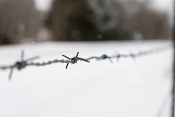 a barbwire fence in the snow