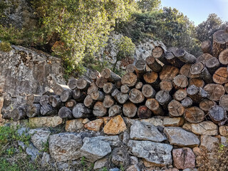 wall of trunks of firewood with moss in summer in the mountains