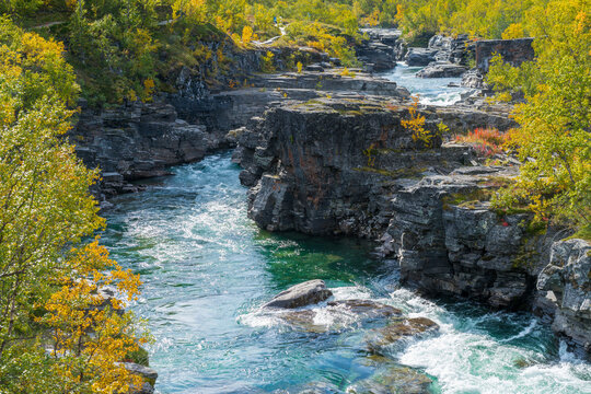 Wild Abisko river flows swiftly through rocky gorge in Abisko National Park deep in the Swedish Arctic. Autumn colors in remote Swedish Lapland. Northern wilderness.