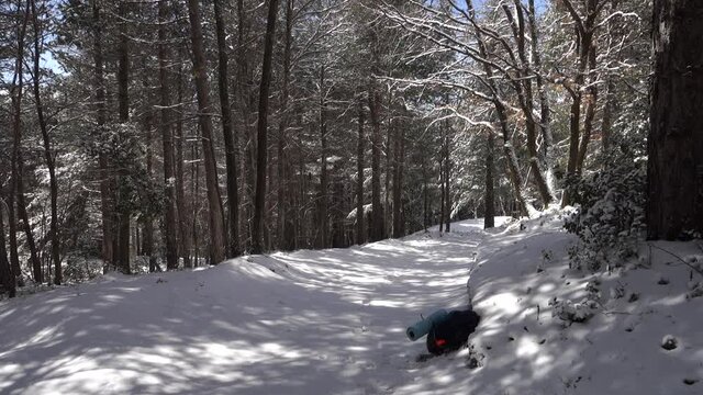 winter walk in Sicily through pine forest on snow covered path of Etna Park  (panning) 