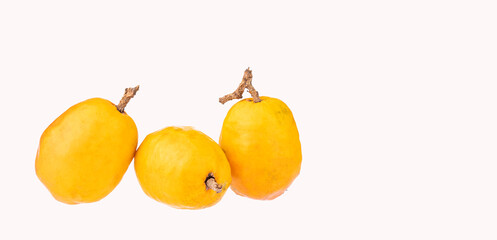 Spondias purpurea - plum, jobo, xocote, plum of huesito, jocote, cocota