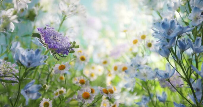 All kinds of flowers blooming in spring