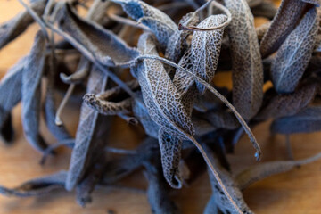 FOLHAS DE Salvia officinalis SECAS EM CIMA DE TÁBUA DE MADEIRA.