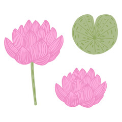Set flower lotus isolated on white background. Abstract botanical blossom, bud and leaf. Floral sketch pink and green color.