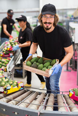 Fototapeta premium Portrait of young adult male working at fruits packing facility loading box with avocados