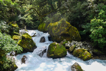 Waterfall at Hiking Track to Lake Marian, Fiordland National Park, New Zealand