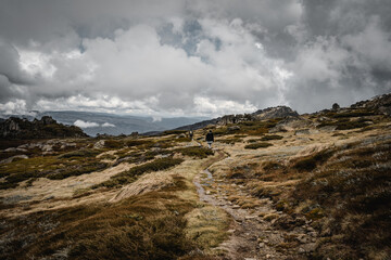 Panoramic views of the Kosciuszko National Park walking the start of the Dead Horse Gap Track.