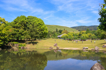 奈良公園