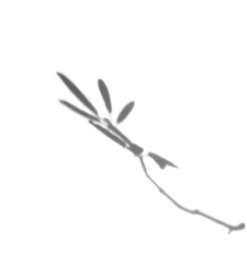 the shadow of bamboo leaves in white background. realistic leaf overlay effect illustration. the light and shadow silhouette of tropical nature to decorate creative design.