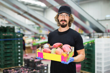 Focused serious male worker working at fruit warehouse carrying box with mangos