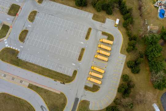 School buses in the school parking lot