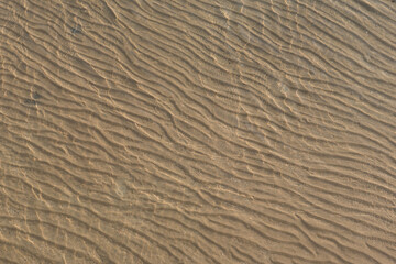 sand texture background.Sea water cover sand texture.A portion of picture blur due to sea wave.
