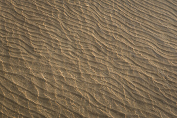 sand texture background.Sea water cover sand texture.A portion of picture blur due to sea wave.