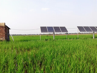 solar panels produce electric which can run submerge water pump for irrigation of water in...