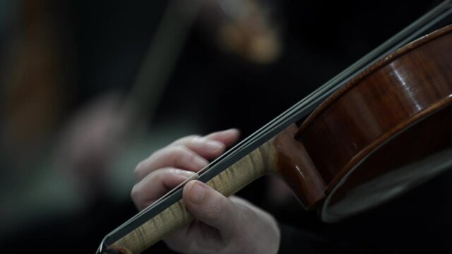 Violin musician playing classical music, closeup practicing instrument