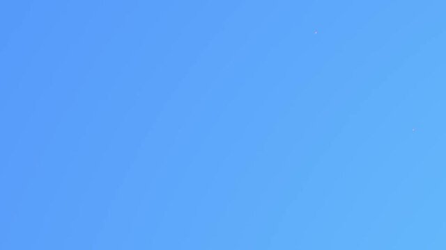 3d animation of the pink eggs on the blue background aligned in the repeating pattern