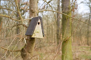 Nistkasten mit der Nummer 877 im Biederitzer Busch, einem Waldgebiet bei Magdeburg 