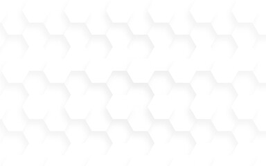 Embossed Hexagon , honeycomb white background. light and shadow. Vector.