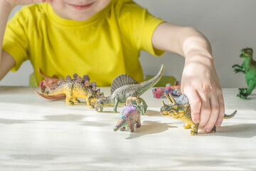 A child plays with dinosaurs. Children's leisure.