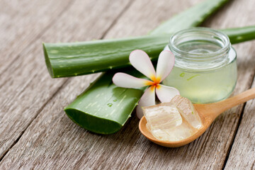 Aloevera gel with cactus green leaf and plumeria flower on wood table background.