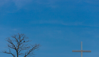 枯れている木の上にいるカラスと教会の十字架の風景