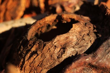 the mountain and the people with the horse