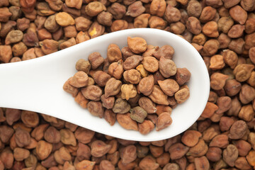 macro Close-up of Organic chana or chickpea (Cicer arietinum) or whole white Bengal gram dal on a white ceramic soup spoon. Top view