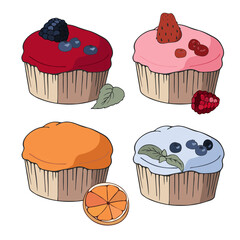 Set of muffins and cakes on a white background. Isolated on white. Bright sweet pastries decorated with berries. Vector illustration.