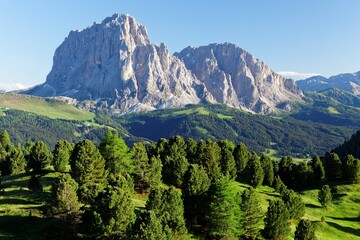Summer scenery of rugged Sassolungo-Sassopiatto mountains with green forests at the foothills under sunny sky in Col Raiser (Ortisei), Val Gardena, Dolomiti Natural Park, South Tyrol, Italy, Europe 