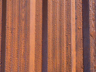 Raindrops on the metal profile sheet. Brown profiled metal sheet with dew drops.