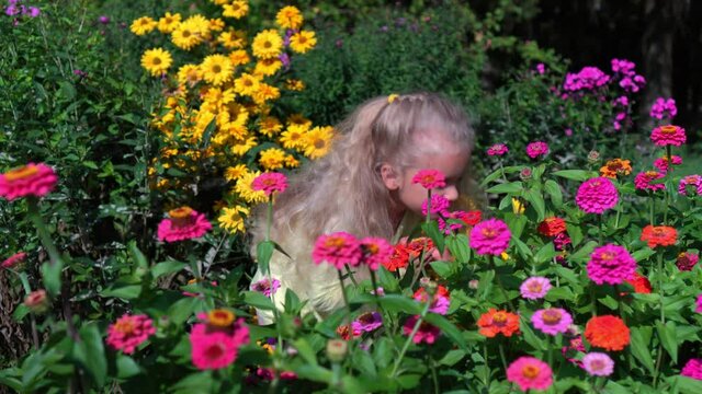 Preschooler little girl smelling flower in colorful garden. Child examine flower