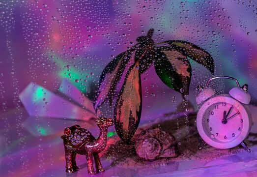 Holiday season eve greeting card. Vacation dreams, composition behind glass with rain drops, a camel goes to meet sand and palm trees, travel time, bright abstract background