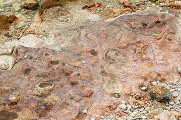 Rock paintings, petroglyphs near the Kherson lighthouse. Crimea