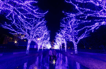 Tourists enjoy the illumination display for Christmas season & New Year in Ao No Dokutsu, with...