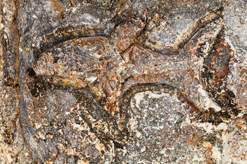 Rock paintings, petroglyphs near the Kherson lighthouse. Crimea