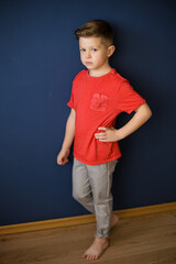 portrait of a boy in a red t-shirt