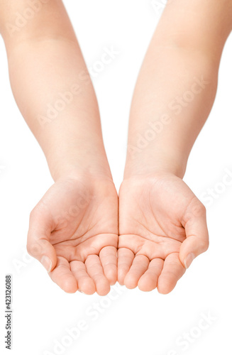 何かを受け取るような女性の手 Wall Mural Wallpaper Murals Funny Face