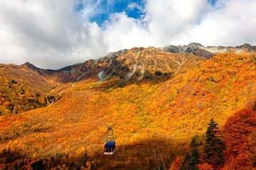 Panorama of a scenic cable car flying over the beautiful autumn valley in Tateyama Kurobe Alpine Route, Toyama Japan ~A magnificent view toward Daikanbo and colorful fall foliage over the mountainside
