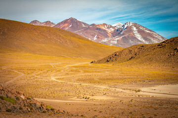 Fototapeta na wymiar landscape with volcanoes in bolivia, altiplano