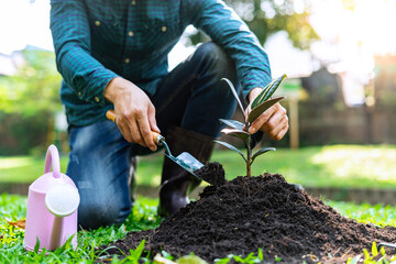 Male doing leisure activities by planting trees, planting trees for fresh air. And replace the destroyed trees in the World Tree Planting Project, fertile ecology concept © crizzystudio