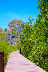 natural view of Thailand wooden bridge in the forest